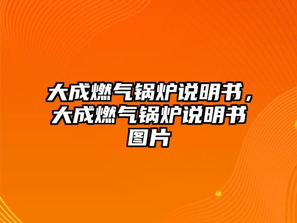 大成燃氣鍋爐說明書，大成燃氣鍋爐說明書圖片