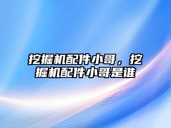 挖掘機配件小哥，挖掘機配件小哥是誰