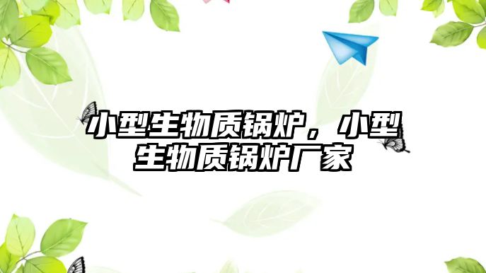 小型生物質(zhì)鍋爐，小型生物質(zhì)鍋爐廠家