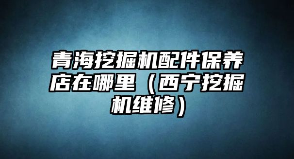 青海挖掘機配件保養(yǎng)店在哪里（西寧挖掘機維修）