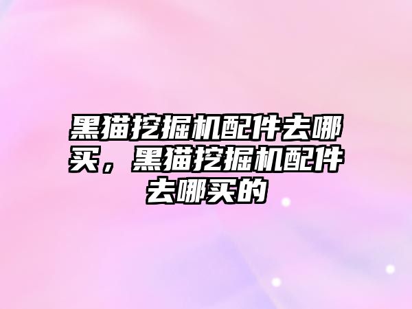 黑貓挖掘機配件去哪買，黑貓挖掘機配件去哪買的