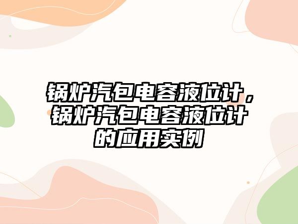 鍋爐汽包電容液位計，鍋爐汽包電容液位計的應用實例