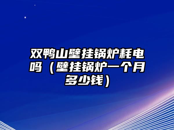 雙鴨山壁掛鍋爐耗電嗎（壁掛鍋爐一個(gè)月多少錢）