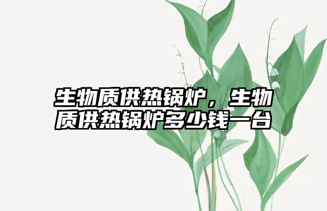 生物質(zhì)供熱鍋爐，生物質(zhì)供熱鍋爐多少錢一臺