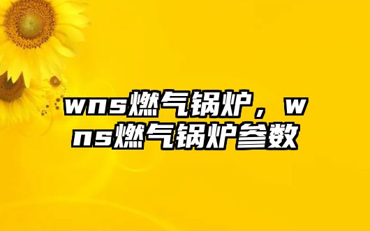 wns燃氣鍋爐，wns燃氣鍋爐參數(shù)