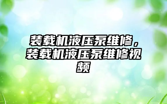 裝載機液壓泵維修，裝載機液壓泵維修視頻