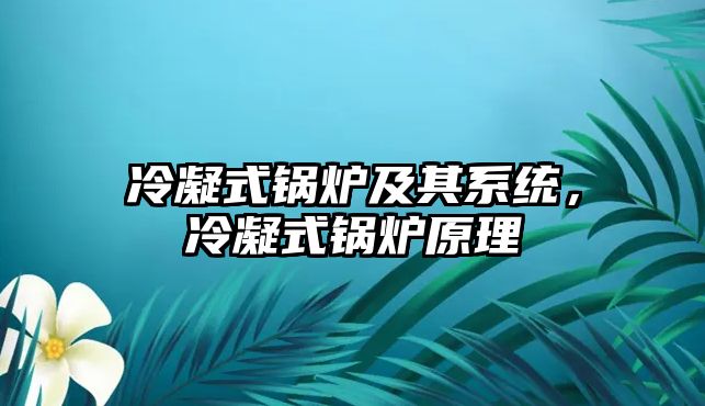 冷凝式鍋爐及其系統(tǒng)，冷凝式鍋爐原理