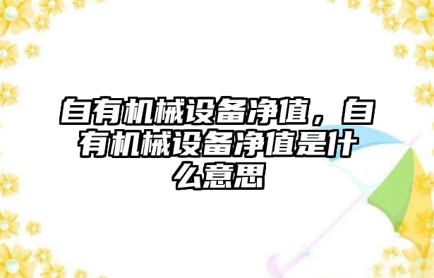 自有機(jī)械設(shè)備凈值，自有機(jī)械設(shè)備凈值是什么意思