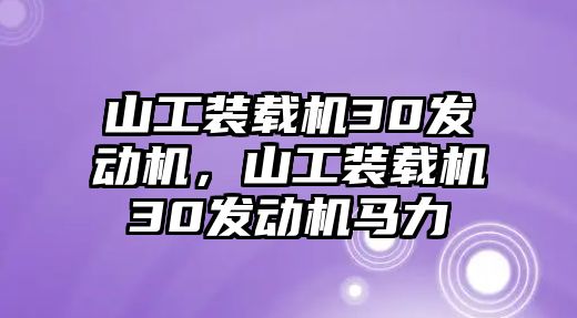 山工裝載機(jī)30發(fā)動(dòng)機(jī)，山工裝載機(jī)30發(fā)動(dòng)機(jī)馬力