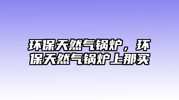 環(huán)保天然氣鍋爐，環(huán)保天然氣鍋爐上那買