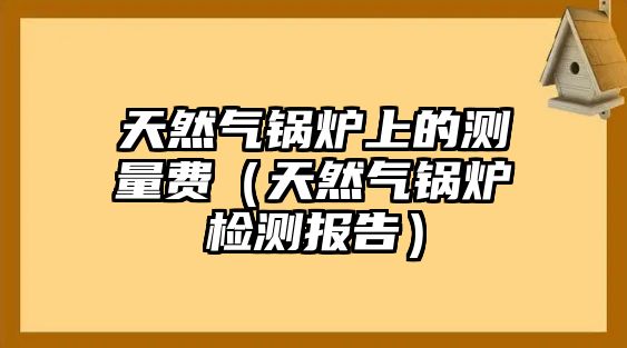 天然氣鍋爐上的測量費(fèi)（天然氣鍋爐檢測報告）