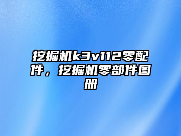 挖掘機k3v112零配件，挖掘機零部件圖冊