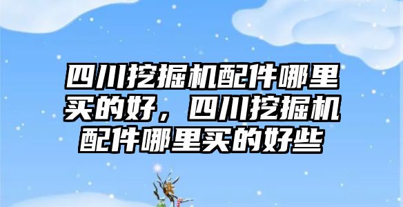 四川挖掘機(jī)配件哪里買的好，四川挖掘機(jī)配件哪里買的好些