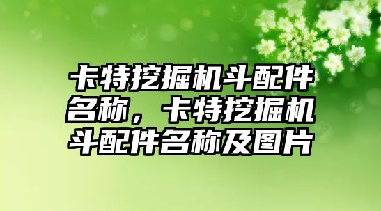 卡特挖掘機斗配件名稱，卡特挖掘機斗配件名稱及圖片