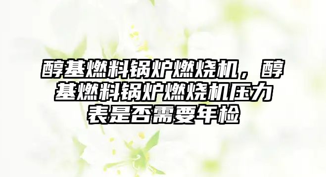 醇基燃料鍋爐燃燒機，醇基燃料鍋爐燃燒機壓力表是否需要年檢