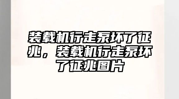 裝載機行走泵壞了征兆，裝載機行走泵壞了征兆圖片