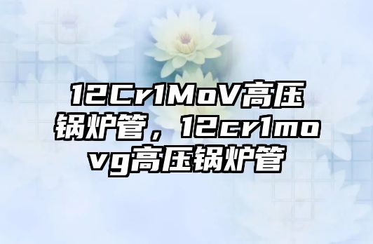 12Cr1MoV高壓鍋爐管，12cr1movg高壓鍋爐管