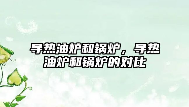 導熱油爐和鍋爐，導熱油爐和鍋爐的對比