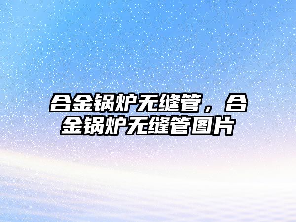 合金鍋爐無縫管，合金鍋爐無縫管圖片