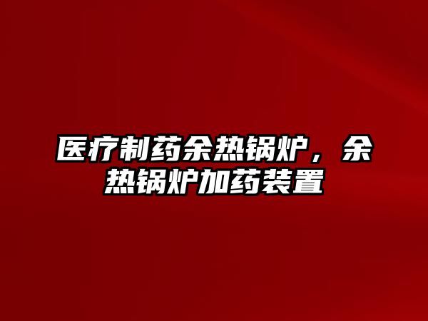 醫(yī)療制藥余熱鍋爐，余熱鍋爐加藥裝置