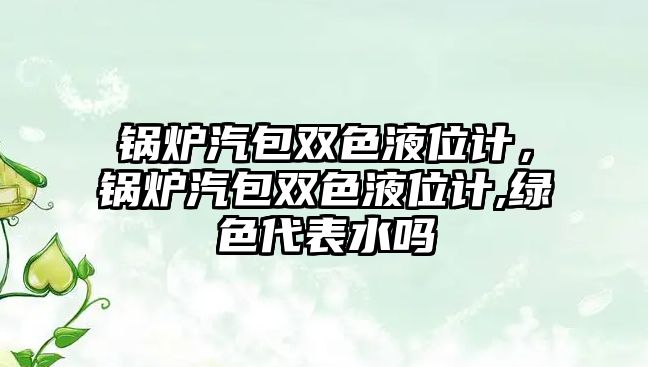 鍋爐汽包雙色液位計(jì)，鍋爐汽包雙色液位計(jì),綠色代表水嗎