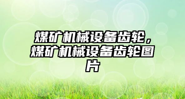 煤礦機械設備齒輪，煤礦機械設備齒輪圖片