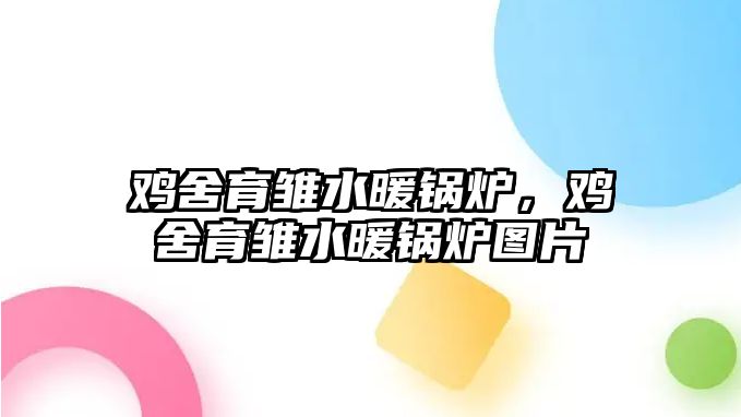 雞舍育雛水暖鍋爐，雞舍育雛水暖鍋爐圖片