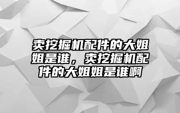 賣挖掘機配件的大姐姐是誰，賣挖掘機配件的大姐姐是誰啊