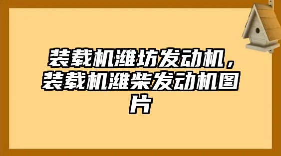 裝載機(jī)濰坊發(fā)動(dòng)機(jī)，裝載機(jī)濰柴發(fā)動(dòng)機(jī)圖片