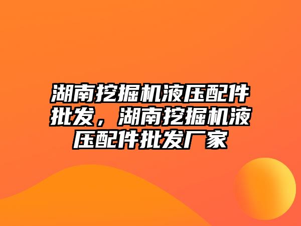 湖南挖掘機液壓配件批發(fā)，湖南挖掘機液壓配件批發(fā)廠家