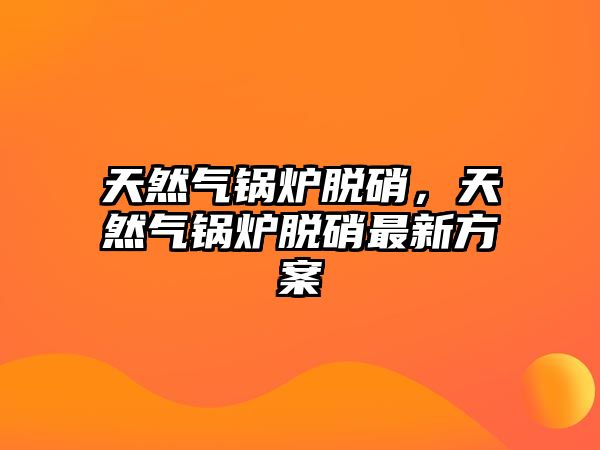 天然氣鍋爐脫硝，天然氣鍋爐脫硝最新方案