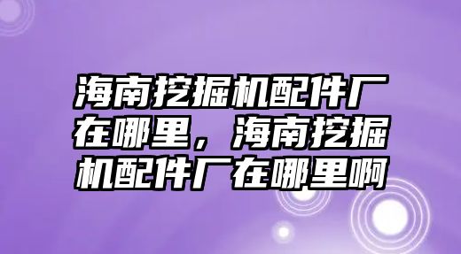 海南挖掘機配件廠在哪里，海南挖掘機配件廠在哪里啊