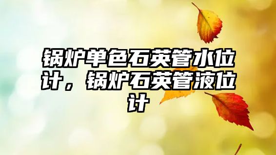 鍋爐單色石英管水位計(jì)，鍋爐石英管液位計(jì)