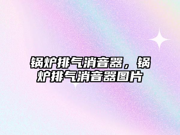 鍋爐排氣消音器，鍋爐排氣消音器圖片