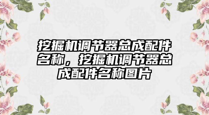 挖掘機調節(jié)器總成配件名稱，挖掘機調節(jié)器總成配件名稱圖片