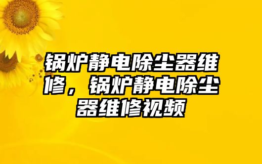 鍋爐靜電除塵器維修，鍋爐靜電除塵器維修視頻