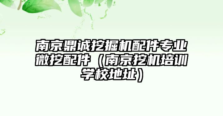 南京鼎誠挖掘機(jī)配件專業(yè)微挖配件（南京挖機(jī)培訓(xùn)學(xué)校地址）