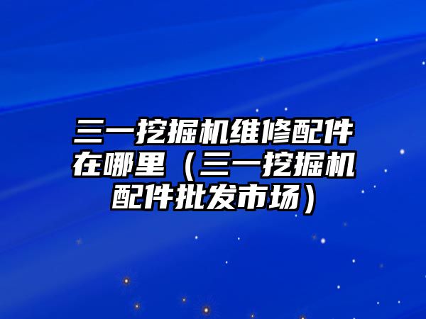 三一挖掘機(jī)維修配件在哪里（三一挖掘機(jī)配件批發(fā)市場(chǎng)）