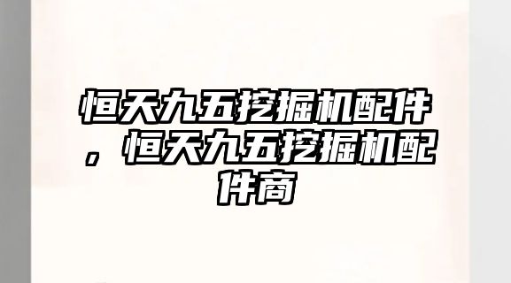 恒天九五挖掘機(jī)配件，恒天九五挖掘機(jī)配件商