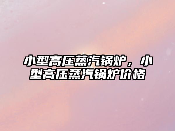 小型高壓蒸汽鍋爐，小型高壓蒸汽鍋爐價格