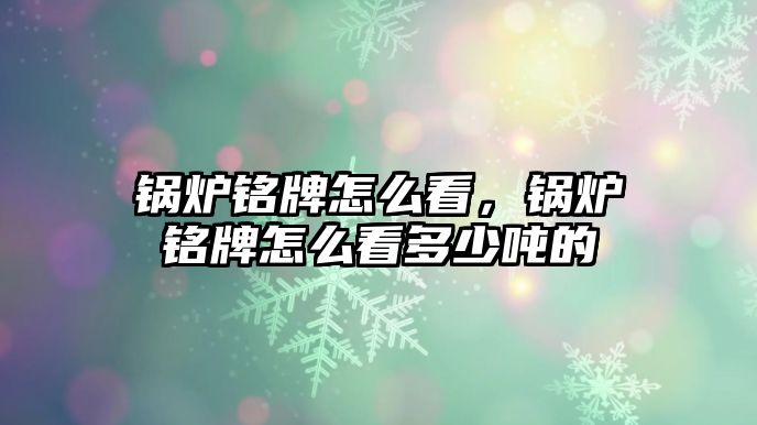 鍋爐銘牌怎么看，鍋爐銘牌怎么看多少噸的