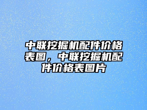 中聯(lián)挖掘機(jī)配件價(jià)格表圖，中聯(lián)挖掘機(jī)配件價(jià)格表圖片