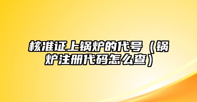 核準(zhǔn)證上鍋爐的代號(hào)（鍋爐注冊(cè)代碼怎么查）