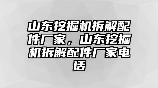 山東挖掘機(jī)拆解配件廠家，山東挖掘機(jī)拆解配件廠家電話