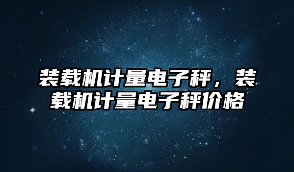 裝載機(jī)計(jì)量電子秤，裝載機(jī)計(jì)量電子秤價(jià)格