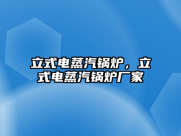 立式電蒸汽鍋爐，立式電蒸汽鍋爐廠家