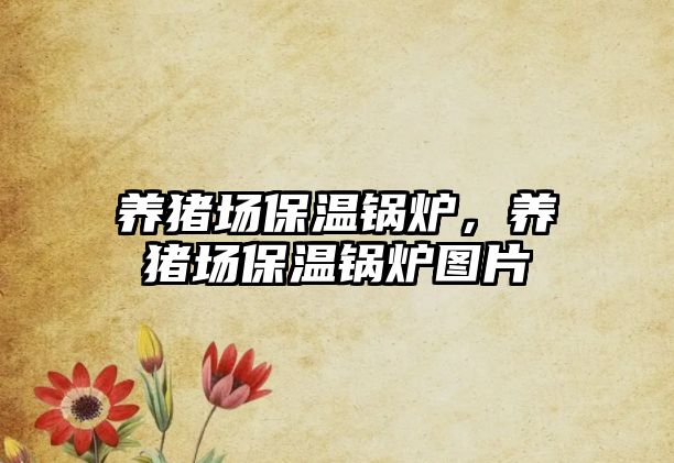 養(yǎng)豬場(chǎng)保溫鍋爐，養(yǎng)豬場(chǎng)保溫鍋爐圖片