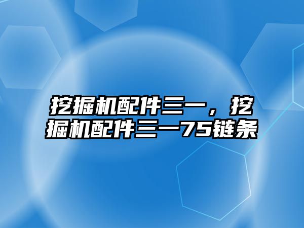 挖掘機(jī)配件三一，挖掘機(jī)配件三一75鏈條