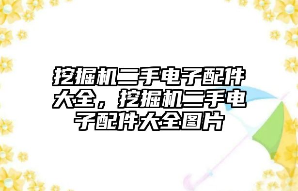 挖掘機(jī)二手電子配件大全，挖掘機(jī)二手電子配件大全圖片