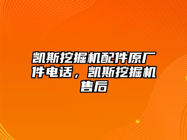 凱斯挖掘機配件原廠件電話，凱斯挖掘機售后